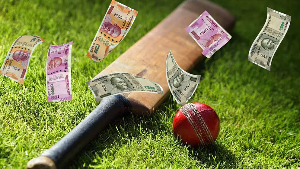 Sports Betting Verification Site